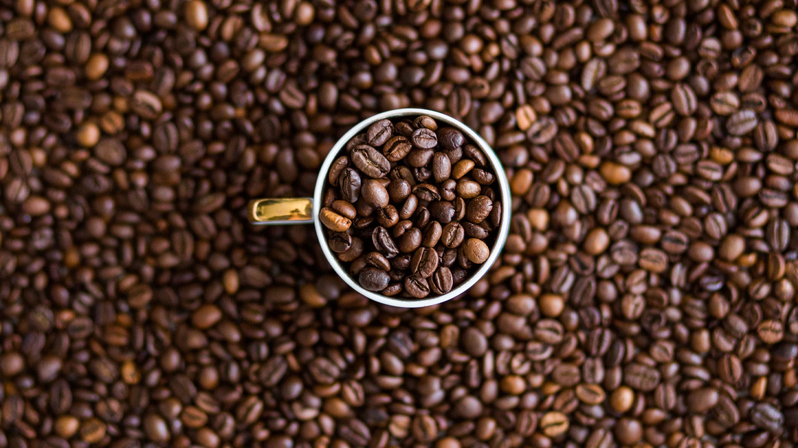 Comunicados de Imprensa