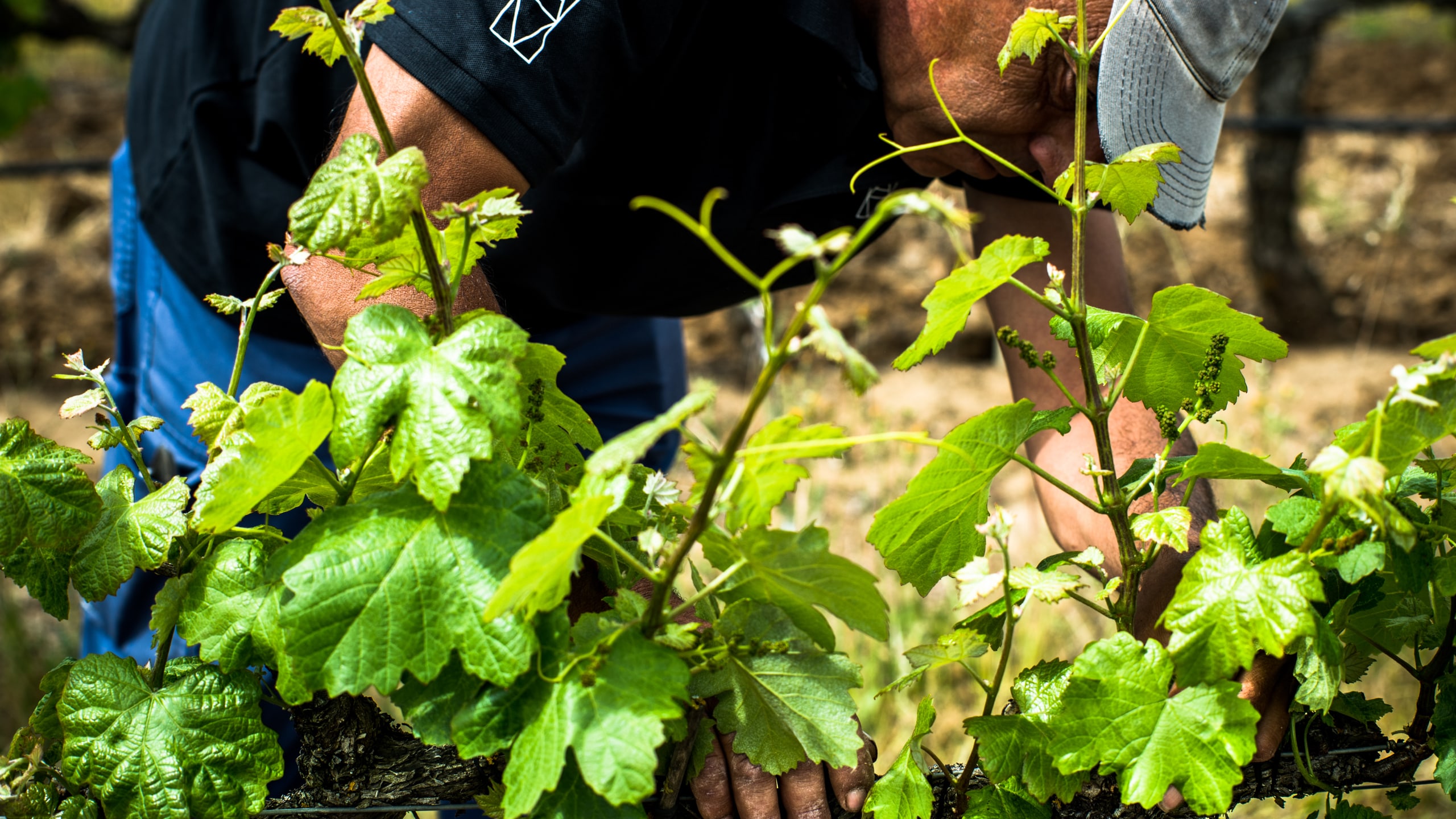 Comunicados de Imprensa