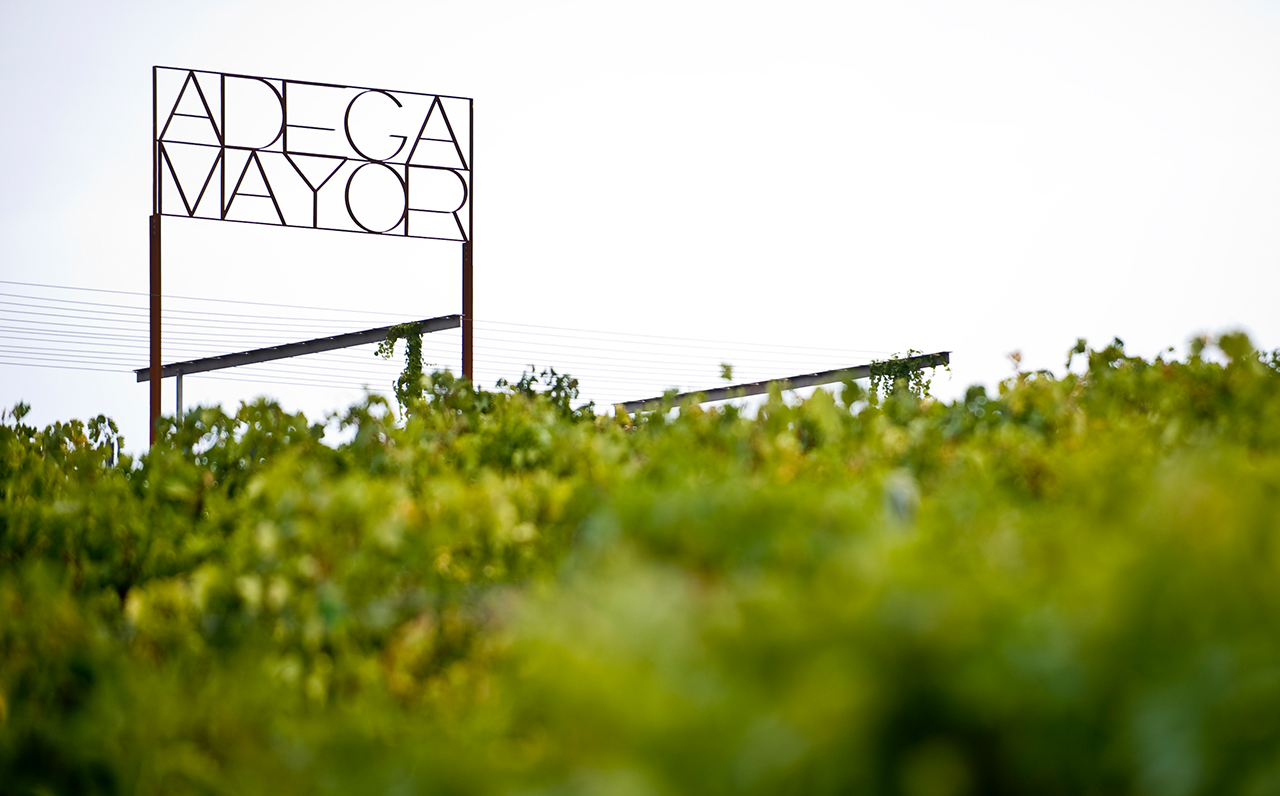 Adega Mayor y Delta Q 