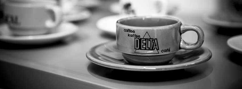 Entrada en el mercado de España 