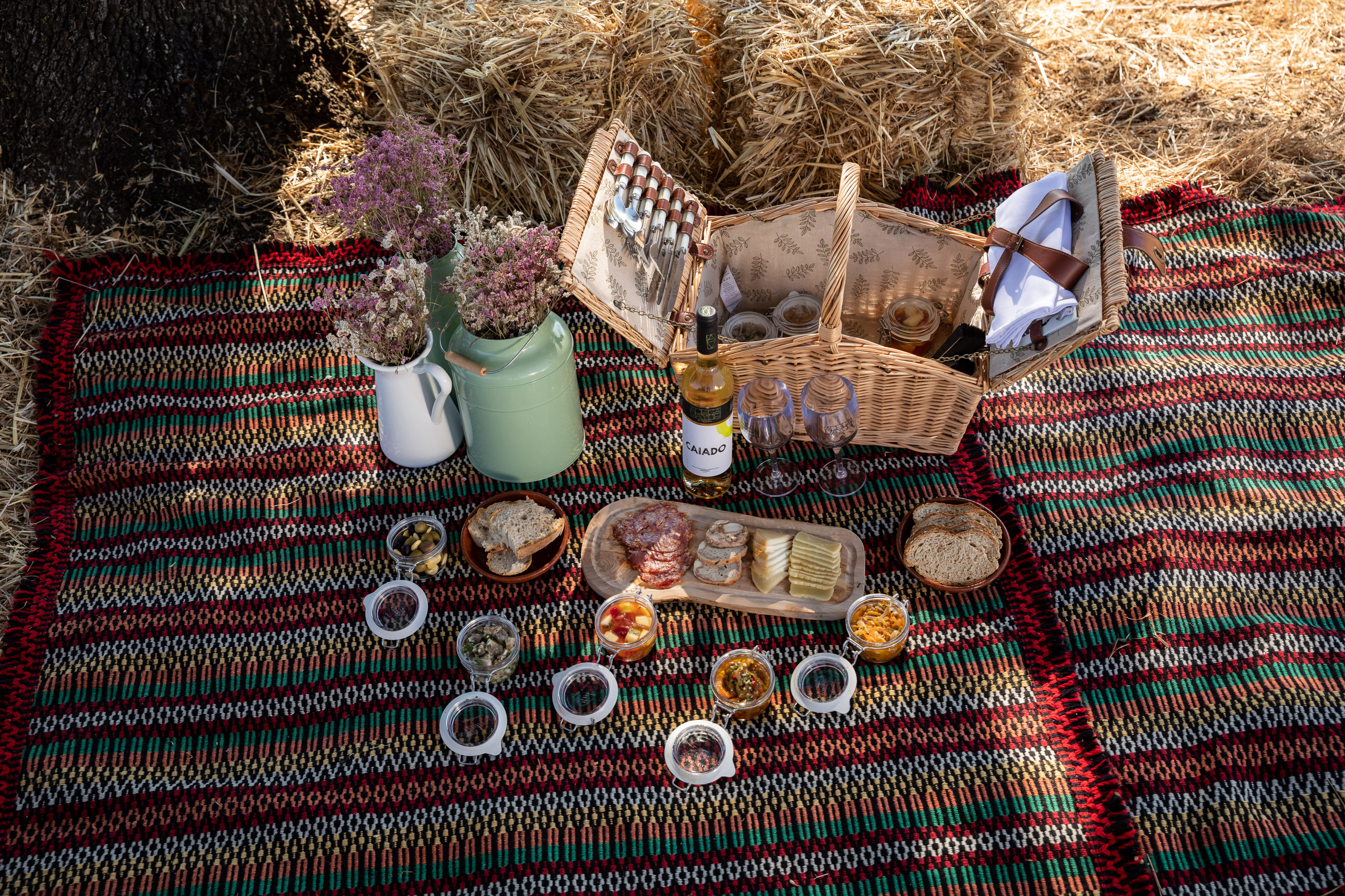 Comunicados de Imprensa