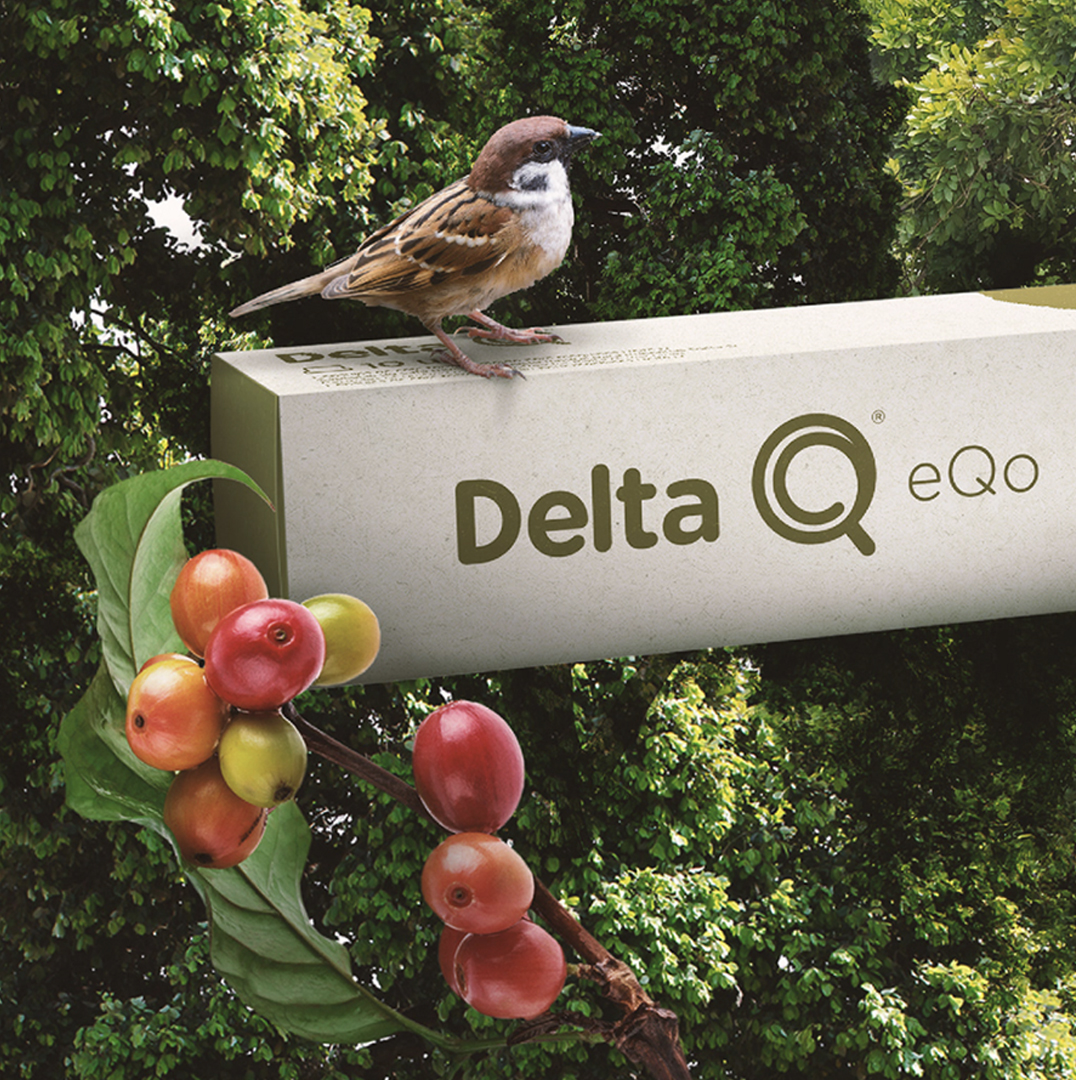 Comunicados de Imprensa