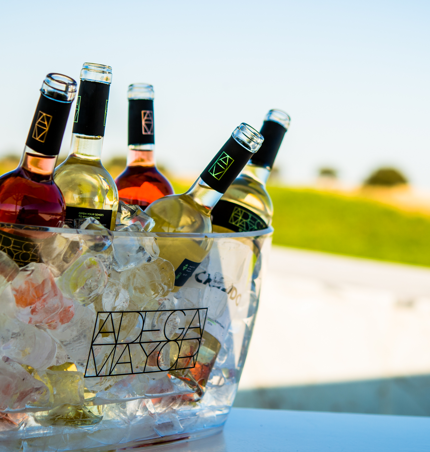 ALIMENTATION ET BOISSONS 