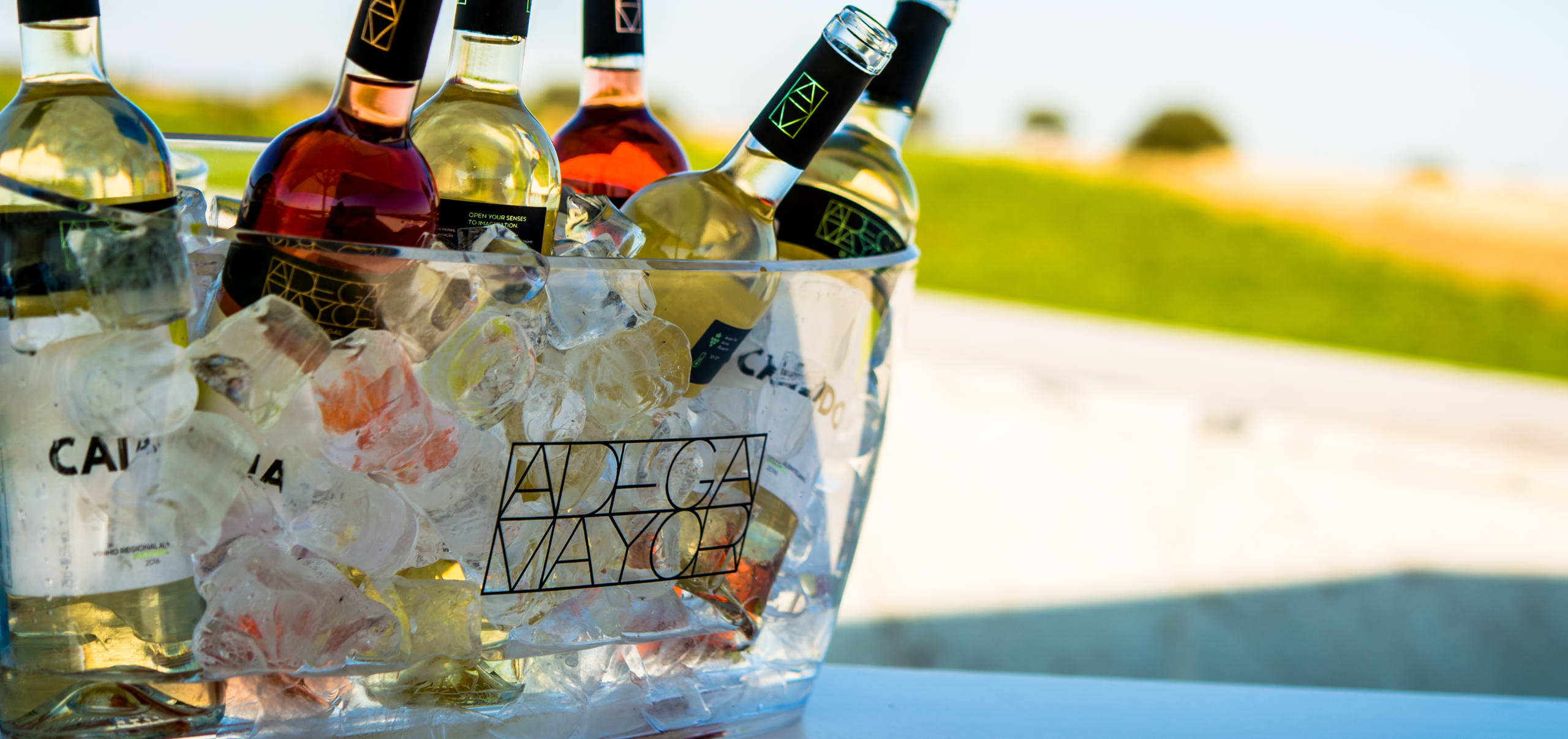 ALIMENTACIÓN Y BEBIDA