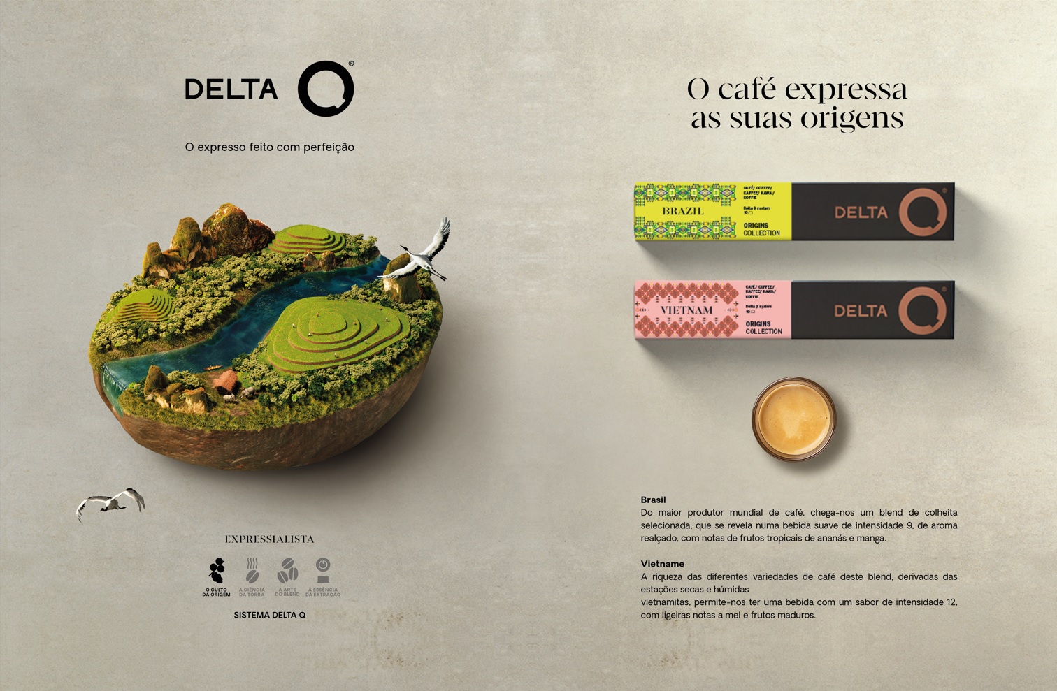 Comunicados de Imprensa