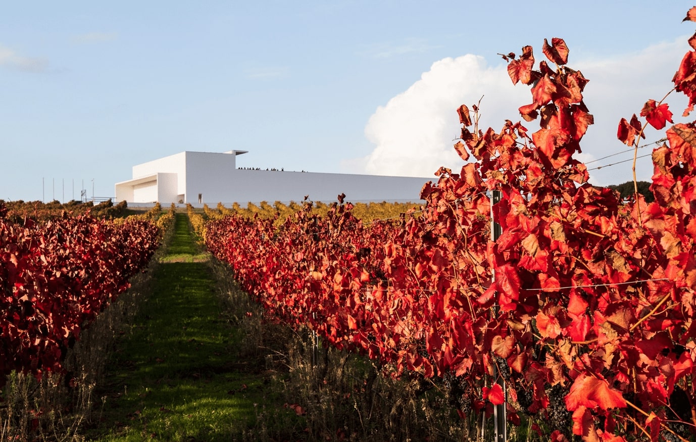 DEL 15 DE JULIO AL 30 DE SEPTIEMBRE