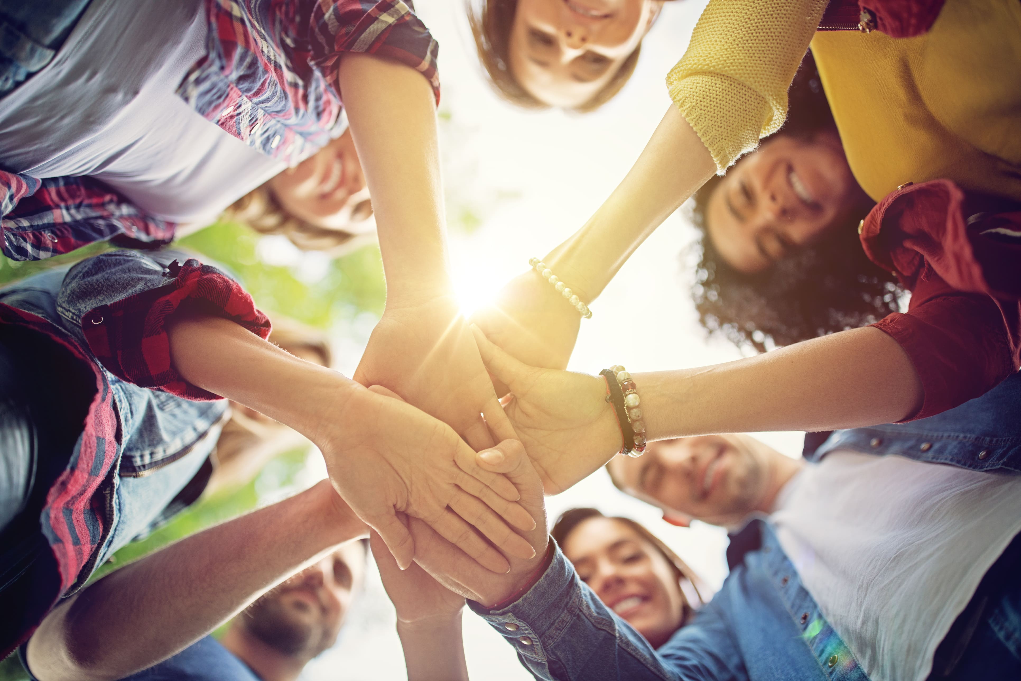 Verão, Curriculares, Profissionais e Internacionais